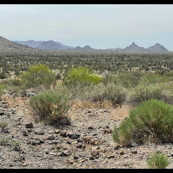 Meet your Posher, Ann - Picture 1 of 1